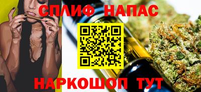 МДПВ Можга
