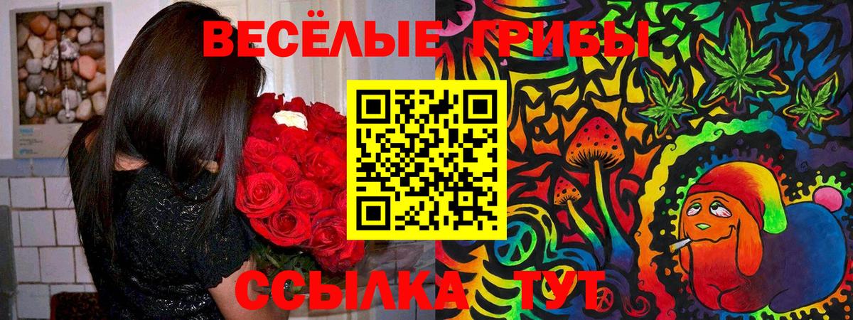 Псилоцибиновые грибы ЛСД  Галлюциногенные грибы Psilocybe  Вход с VPN  Ялта 